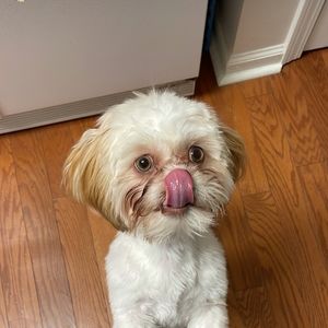 Meet your Posher, Chi